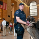 Image for article titled The Secret Lives of NYC Mega-Projects, Revealed By One Photographer